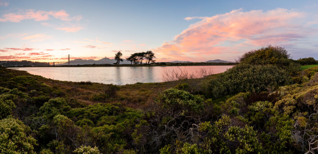 sunset over Crissy Marsh