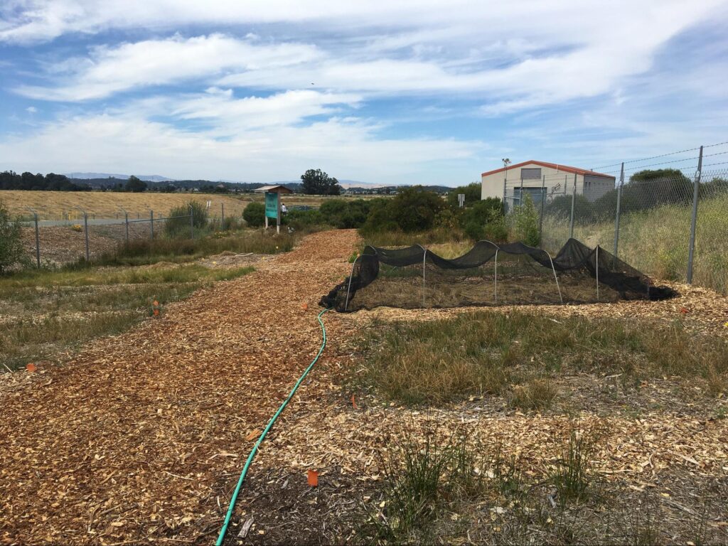 Plant beds with netting cover
